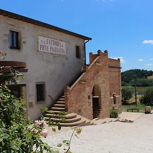 Fattoria Di Pieve Pagliaccia Perugia